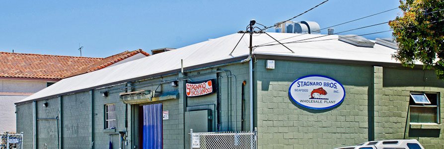 Roof Repair Services